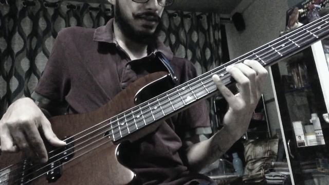 Its been so long- Avishai Cohen bass cover смотреть онлайн