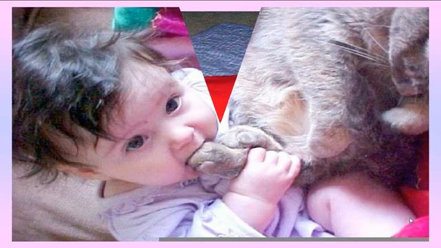 Дети любят животных смотреть онлайн