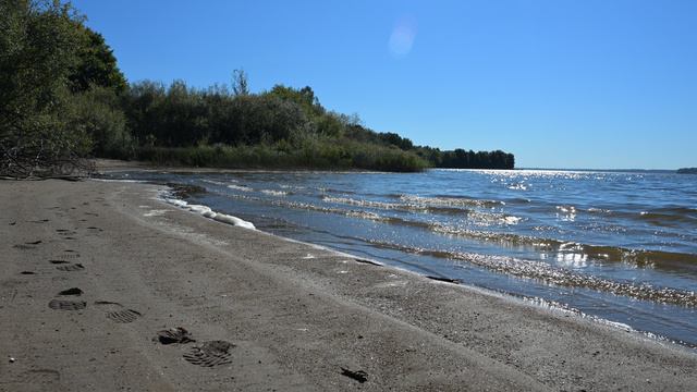 5,4K-видео на Nikon Z 6III смотреть онлайн