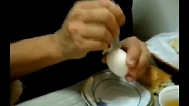 Чистим яйцо за 10 сек.flv смотреть онлайн