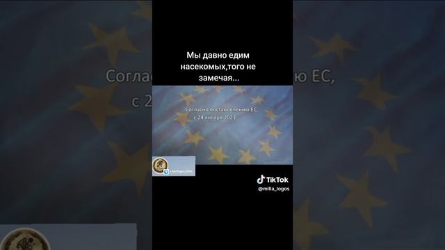 Просто шок! Нас давно кормят насекомыми!