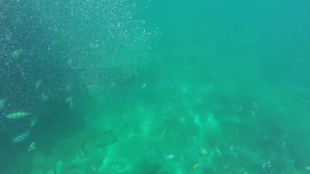 Phi Phi EL short movie смотреть онлайн