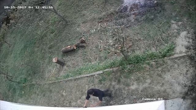 Джентльмен удачи на даче Мукачево смотреть онлайн