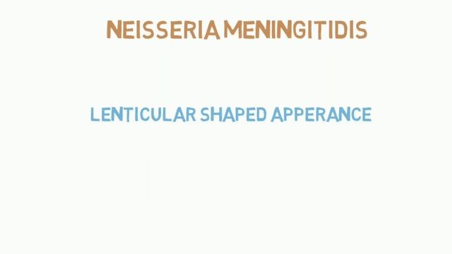 Microbes And Their Colonies |