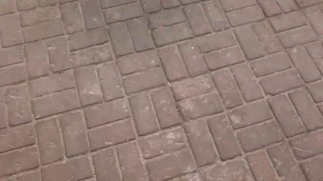 ?VLOG? КАТАЕМСЯ НА NINEBOT? смотреть онлайн