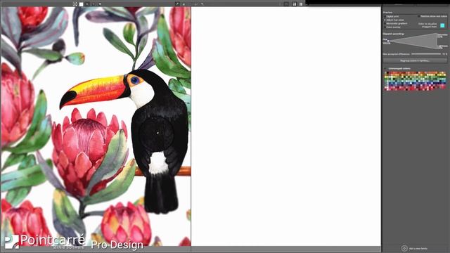 Color Separation with Photoshop and Pointcarre Textile CAD software смотреть онлайн