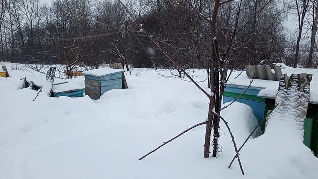 пчеловодство. ЗИМОВКА НА ВОЛЕ (2023). смотреть онлайн