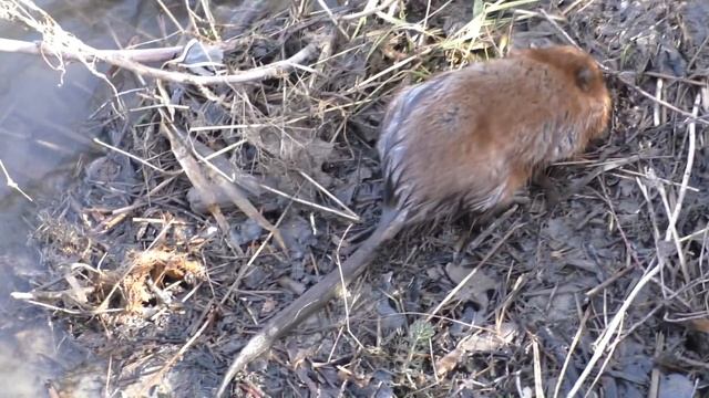 Рыболовная Душа