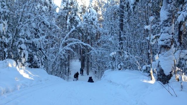 Зимний лес, прогулка с детьми смотреть онлайн