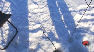 Как определить зону обзора подводной камеры в реальных условиях