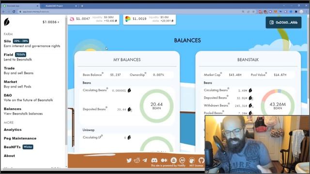 Beanstalk: Risks, Rewards, Basics смотреть онлайн
