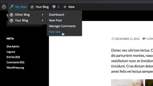 Web Design Adelaide - Wordpress Instructional Video 2 "The Admin Bar" смотреть онлайн