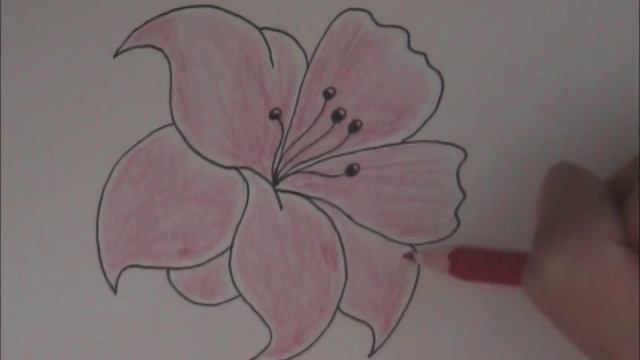 How To Draw Flowers For Beginners - Lily Flower Tattoo Design