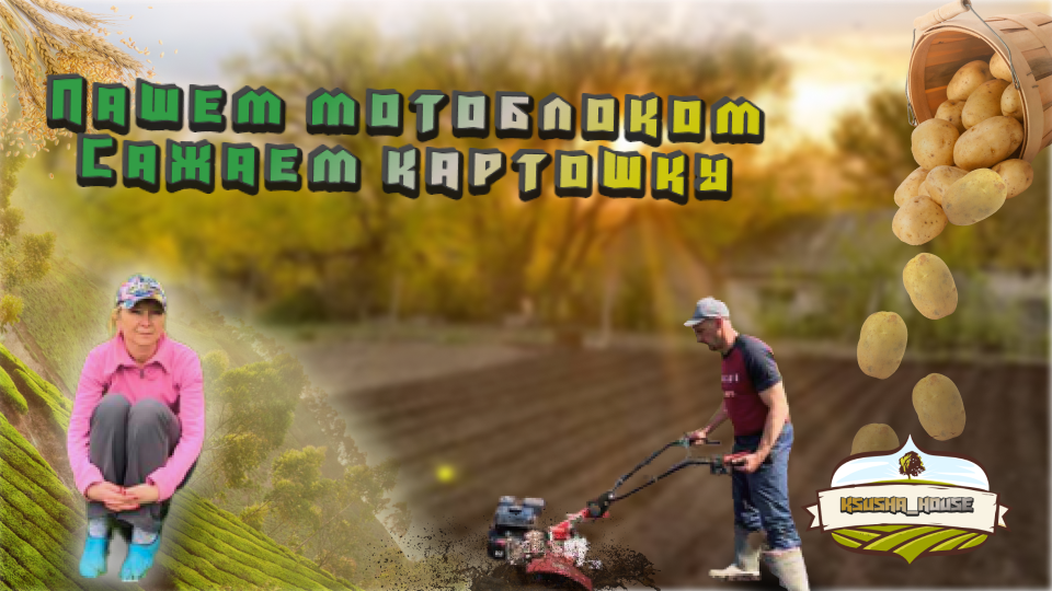 Пашем мотоблоком. Сажаем картошку. смотреть онлайн
