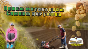 Пашем мотоблоком. Сажаем картошку.