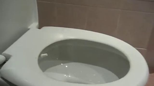 Унитаз с сюрпризом смотреть онлайн
