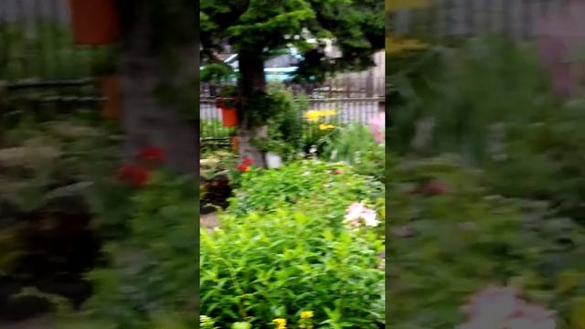 10 июля, гроза, ливень... смотреть онлайн