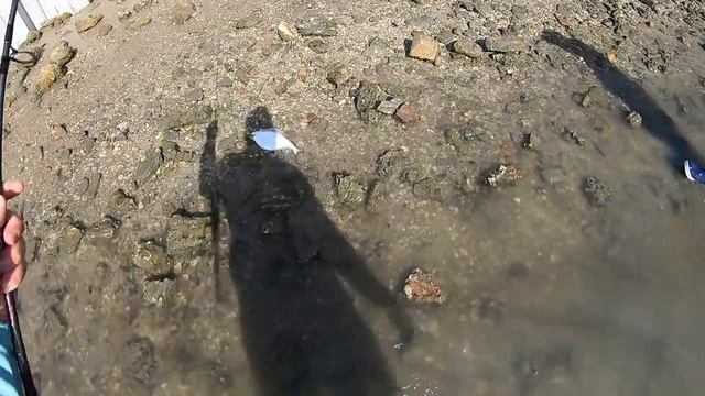 FIRST TIME Using the VUDU SHRIMP... Its a FLOUNDER MAGNET смотреть онлайн