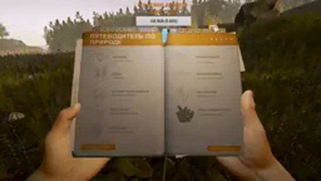 Начанаем рубиться в the forest))) maximum emotions первые вылазки смотреть онлайн