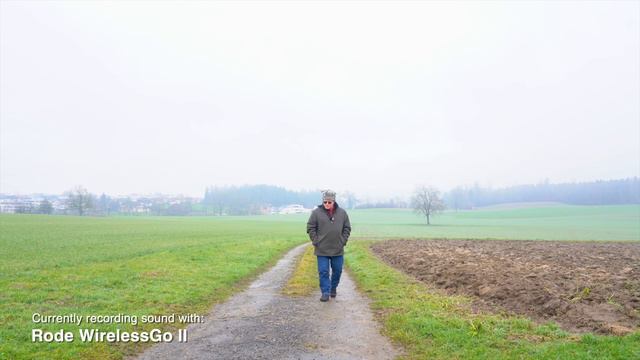 Rode Wireless GO II vs GO смотреть онлайн