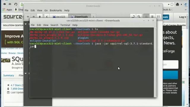 Demo - How to install Squirrel SQL Client on Linux Mint computer смотреть онлайн