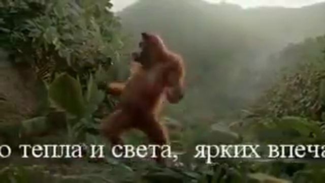 Бешеная обезьяна! смотреть онлайн
