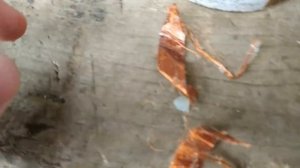 КАТУШКА ЗАЖИГАНИЯ ОТ ВАЗ НА БЕНЗОПИЛУ ДРУЖБУ