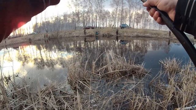 Не только на Оше крупняк. Крупный карасевич в Тюкалинске. смотреть онлайн