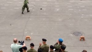 Морская Пехота 155 бригада Морской Пехоты