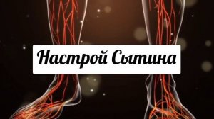 Настрой Сытина. Оздоровление ЛИМФОСИСТЕМЫ.