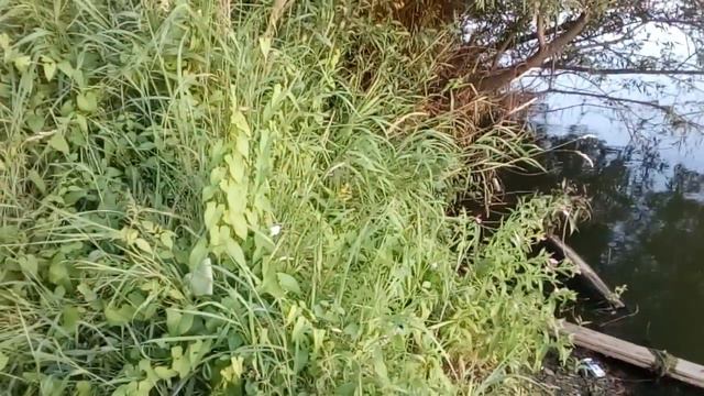 они рядом с нами.they are with us смотреть онлайн