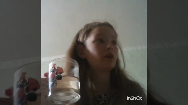 Хочешь новый телефон??? смотреть онлайн