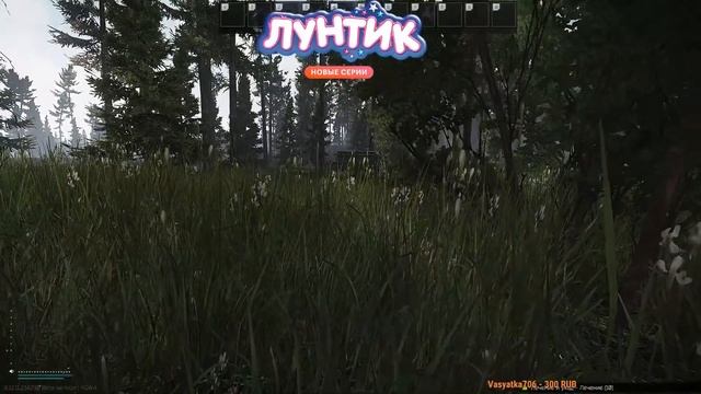 ЛЕСНЫЕ ЗОБАВЫ С ДЕДОМ И ДАМИРОМ смотреть онлайн