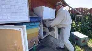 Совет для пчеловода. Используем старые холодильники.