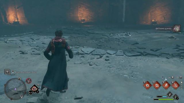 HOGWARTS LEGACY Walkthrough Part 19 FULL GAME GAMEPLAY - No Commentary смотреть онлайн