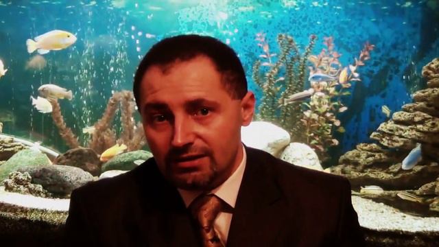 О страхе, о лени, о целях. Пора делать, а не думать. смотреть онлайн