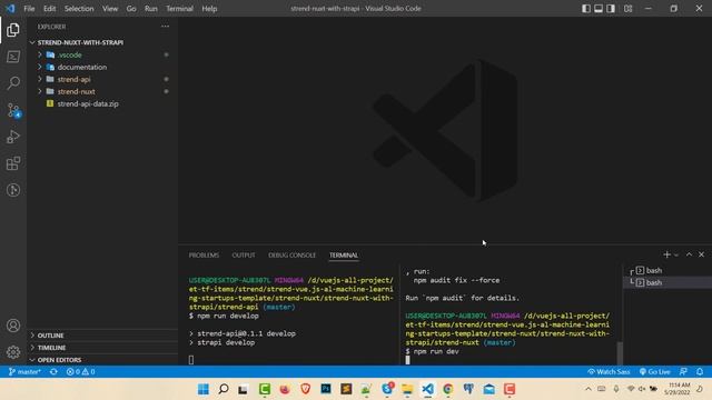 Strend - Vue.js with Strapi Machine Learning Template Local Installation смотреть онлайн