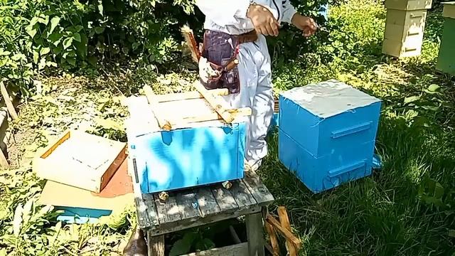 Народный улей Варрэ. Наращиваю без вощины | А что, так можно было? смотреть онлайн