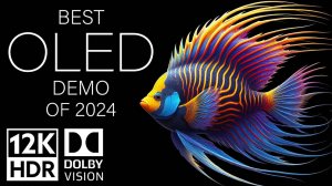 ЛУЧШАЯ ДЕМОНСТРАЦИЯ OLED 2024 - DOLBY VISION 12K HDR 120fps