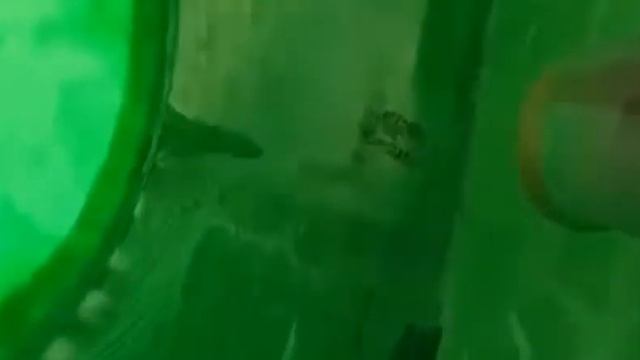 Септики - как правильно выбрать? смотреть онлайн