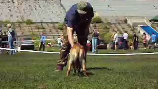 Послушание - Масяня.AVI