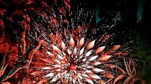 окно в сказку заставка