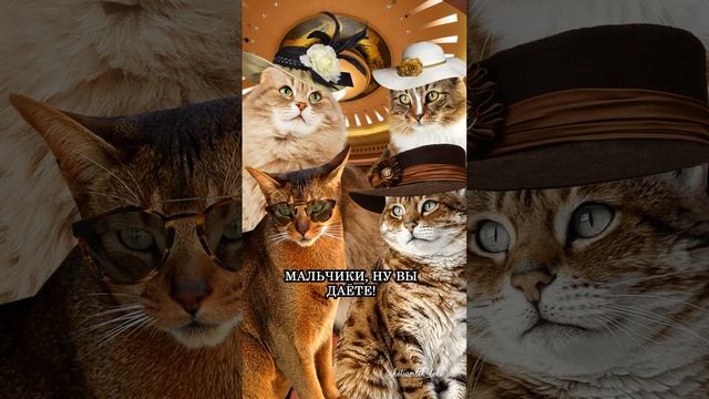 ЭТОТ ОТДЫХ ИЗМЕНИЛ ЖИЗНЬ КОТИКОВ НАВСЕГДА! КОТОСЕРИАЛ "ПРИКЛЮЧЕНИЯ В МАЙАМИ"(ВСЕ СЕРИИ) смотреть онлайн