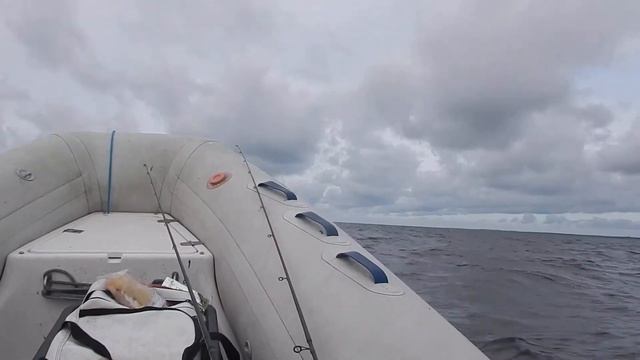 Rib Grand S470 по волнам на Чудском озере юго-западный ветер 3-7 м/с смотреть онлайн