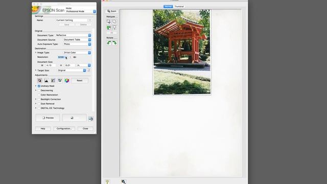 Scanning Basics смотреть онлайн