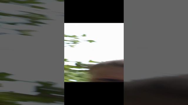 новая рубрика шалаш смотреть онлайн