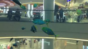 Лифт-Аквариум