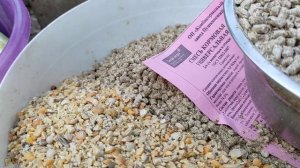 Рацион кормления Индоуток разных возрастов