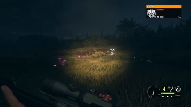 Night Vision Black Bear Hunting! | theHunter Call of the Wild смотреть онлайн