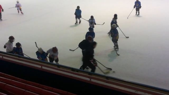 2 дек 17 - тренировка младшая группа "Морские Волки" смотреть онлайн